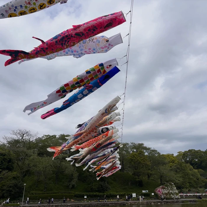 画像396