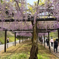 画像397